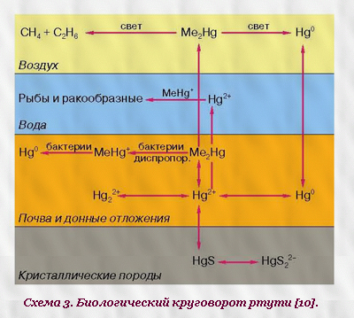 Ртуть: распространение, опасность и меры предосторожности